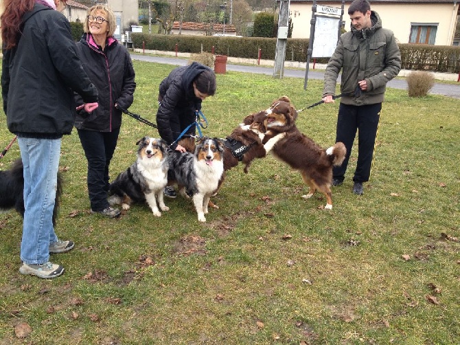 1 mars 2015: Ballade à Mangonville